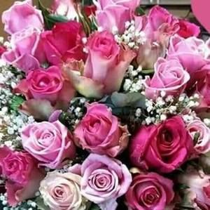 Meet your Posher, Oukaci